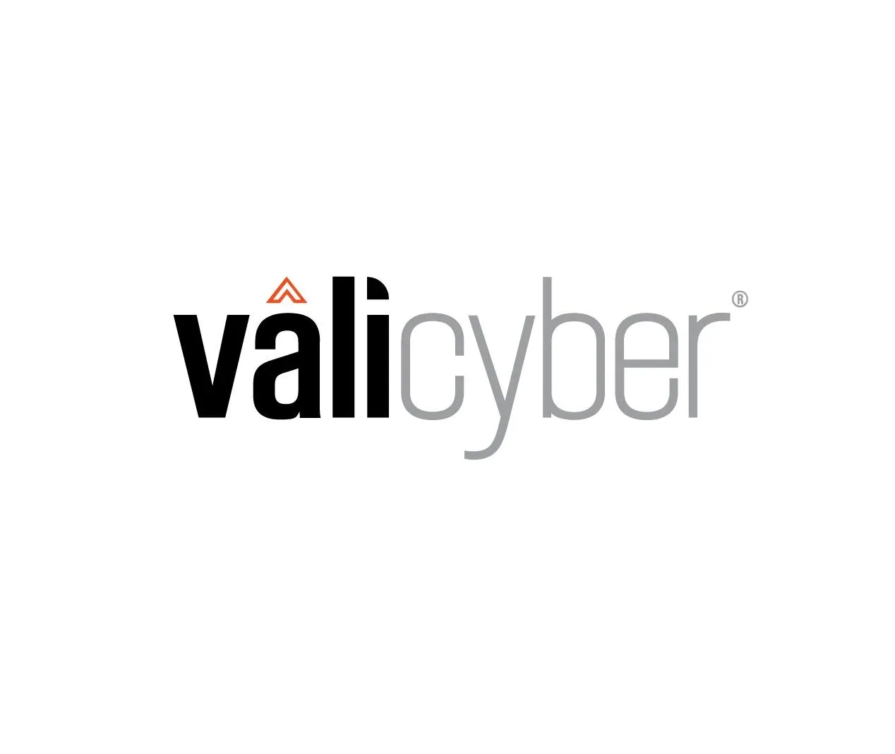 Vali Cyber Integrates ZeroLock with CrowdStrike Falcon SIEM